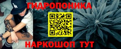 прущие грибы Гай