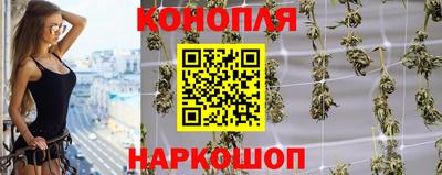 СК Гагарин