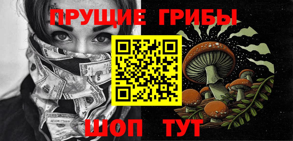 Псилоцибиновые грибы GOLDEN TEACHER  купить закладку  Вход с VPN  Минусинск  Псилоцибиновые грибы GOLDEN TEACHER 